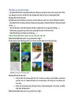 Giải sách giáo khoa môn Khoa học tự nhiên 6 Bài 22: Phân loại thế giới sống | Chân trời sáng tạo