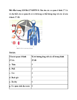 Giải Khoa học tự nhiên 8 bài 27: Khái quát về cơ thể người | Cánh diều