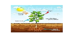 Giáo án điện tử Khoa học tự nhiên 7 bài 22 Chân trời sáng tạo : Vai trò của trao đổi chất và chuyển hóa năng lượng ở sinh vật