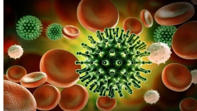 Bài giảng PowerPoint môn Sinh học 10 - Bài 22 | Cánh diều