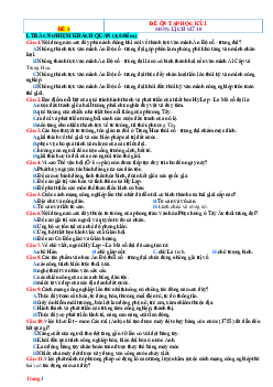 Đề ôn tập học kỳ 1 Lịch Sử 10 Kết Nối Tri Thức-Đề 4 (Có đáp án)
