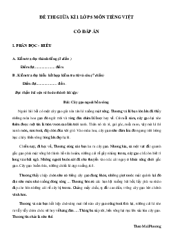 Đề thi giữa kì 1 lớp 5 môn Tiếng Việt năm 2023 - 2024 - Đề số 1