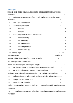Bài tiểu luận môn Quản trị bán hàng đề tài "Công ty cổ phần dược phẩm NANO"
