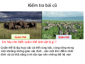 Giáo án điện tử Khoa học tự nhiên 8 Bài 40 Cánh diều: Quần xã sinh vật