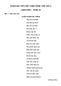 Phiếu Bài tập cuối tuần tiếng Việt lớp 2 học kì 1 |Cánh diều Tuần 10 cơ bản