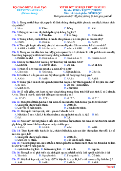Đề minh họa thi tốt nghiệp THPTQG môn sinh học năm 2021 (có đáp án)