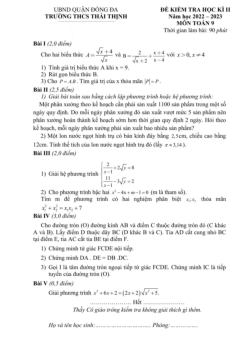 Đề học kì 2 Toán 9 năm 2022 – 2023 trường THCS Thái Thịnh – Hà Nội