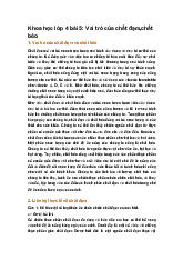 Khoa học lớp 4 bài 5: Vai trò của chất đạm,chất béo