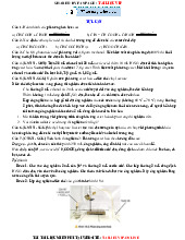 Bài tập tự luận và trắc nghiệm về Phản ứng ester hóa môn Hoá học 12