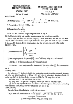 Đề thi giữa học kỳ 2 Toán 9 năm 2023 – 2024 trường THCS Đống Đa – Hà Nội