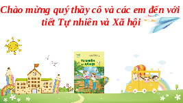 Giáo án điện tử Tự nhiên và Xã hội 2 Bài 8 Kết nối tri thức: An toàn khi ở trường