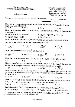Đề thi HK1 Toán 12 năm học 2018 – 2019 trường THPT chuyên Nguyễn Du – Đăk Lăk