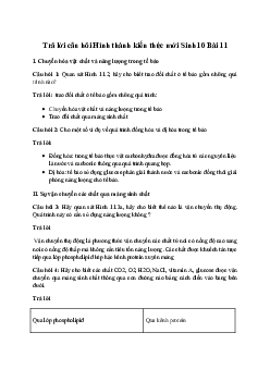 Sinh học 10 Bài 11: Vận chuyển các chất qua màng sinh chất sách Chân trời sáng tạo