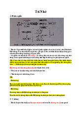 Tổng Quan về Trí Nhớ - Tâm Lý Học Đại Cương (TLP 101)