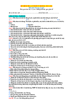 Đề thi học kì 1 môn Tin học 8 năm 2023 - 2024 sách Cánh diều - Đề 1