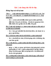 Gợi ý các dạng câu hỏi ôn tập Đúng hay sai và tại sao môn Pháp luật đại cương | Trường đại học Mở Hà Nội