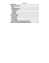 Tiểu luận về Thành Cổ Loa: Di tích lịch sử và giá trị văn hóa