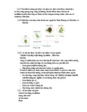 Đặc điểm chung của Thực vật | Môn Cơ sở khoa học tự nhiên xã hội - Đại học Sư phạm Hà Nội 2