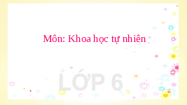 Giáo án điện tử Khoa học tự nhiên 6 bài 44 Kết nối tri thức : Lực ma sát
