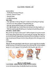 ĐẠI CƯƠNG VỀ BONG GÂN môn Lâm sàng ngoại chấn thương| Trường Đại Học Tây Nguyên