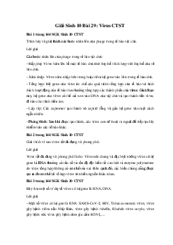 Giải Sinh 10 Bài 29: Virus | Chân trời sáng tạo