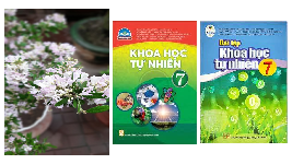 Giáo án điện tử Khoa học tự nhiên 7 bài 1 Chân trời sáng tạo : Phương pháp và kĩ năng học tập môn Khoa học tự nhiên