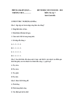 Đề thi học kì 2 môn Tin học 7 năm 2022 - 2023 sách Cánh diều - Đề 3