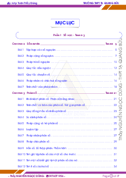 Bài tập Toán 6 học kì 2 – Nguyễn Ngọc Dũng