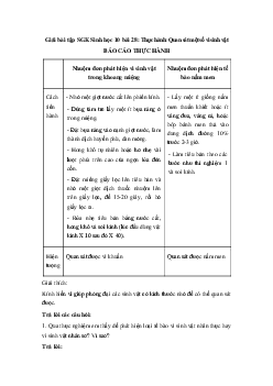 Giải bài tập SGK Sinh học 10 bài 28: Thực hành: Quan sát một số vi sinh vật