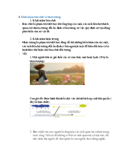 Khái niệm bản chất và hiện tượng