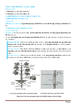 Bài tập trắc nghiệm chương III sinh trưởng và phát triển sinh học 11 (có đáp án)