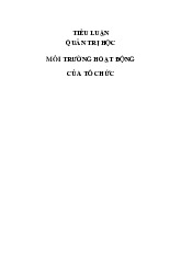 Tiểu luận môn Quản trị học - trường đại học kinh tế- tài chính thành phố Hồ chí minh