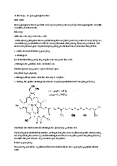 Lý thuyết Pha sáng – Sự quang phosphoryl hóa môn Sinh học tế bào | Đại học Bách Khoa Hà Nội