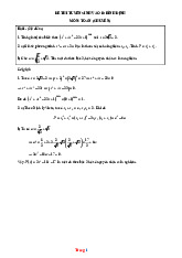 Đề Thi Tuyển Sinh 10 Toán Chuyên Sở GD Bình Định 2025-2026 Có Đáp Án