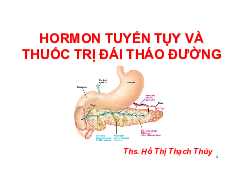 Hormon tuyển tụy và thuộc trị đái tháo đường - Hóa học | Trường đại học Quốc tế Hồng Bàng