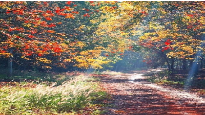 Giáo án điện tử Hoạt động trải nghiệm 5 Chủ đề 5 Cánh diều: Tìm hiểu về trang phục truyền thống của các nước ASEAN