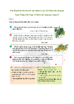 Soạn bài Viết: Viết đoạn kết bài cho bài văn miêu tả cây cối - Tiếng Việt 4 Chân trời sáng tạo