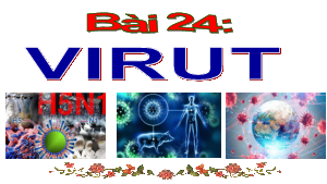 Bài 24: Virut | Bài giảng PowerPoint KHTN 6 | Chân trời sáng tạo