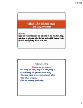 Tiêu bản Xê-măng | Tài liệu bệnh học miệng