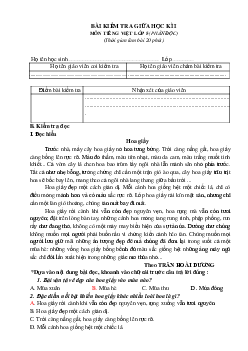 Đề thi giữa học kì 1 môn Tiếng Việt lớp 5 năm 2024 - Đề số 2