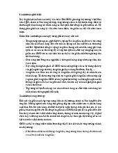 Vòng đời sản phẩm OMO: Phân tích chiến lược thị trường | Nguyên Lý Marketing | Đại học Tôn Đức Thắng