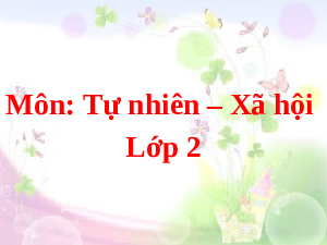 Giáo án điện tử Tự nhiên và xã hội 2 Bài 3 Cánh diều: Phòng tránh ngộ độc khi ở nhà