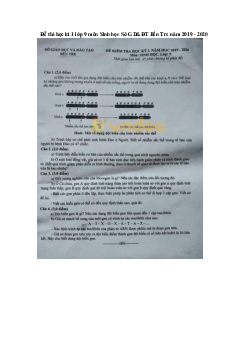 Đề thi học kì 1 lớp 9 môn Sinh học Sở GD&ĐT Bến Tre năm 2019 - 2020