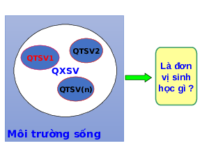 Giáo án điện tử Khoa học tự nhiên 8 Bài 44 Kết nối tri thức: Hệ sinh thái
