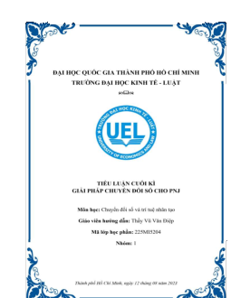 Tiểu luận: " giải pháp chuyển đổi  số cho PNJ"