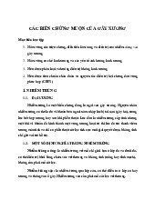 Biến Chứng Muộn Của Gãy Xương môn Lâm sàng ngoại chấn thương| Trường Đại Học Tây Nguyên