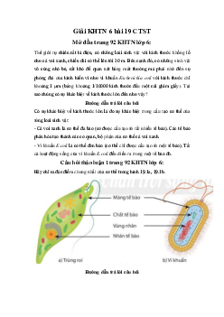 Giải Khoa học tự nhiên 6 bài 19 Cơ thể đơn bào và cơ thể đa bào | Chân trời sáng tạo