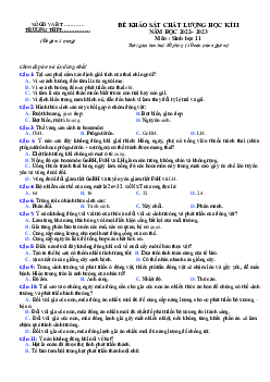 Đề thi học kì 2 môn Sinh học lớp 11 năm 2022 - 2023 | Đề 3
