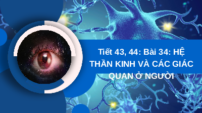 Giáo án điện tử Khoa học tự nhiên 8 Bài 34 Kết nối tri thức: Hệ hô hấp ở người