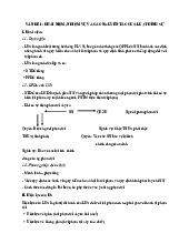 Tài liệu Môn Luật hình sự | Trường Đại học Luật Hà Nội